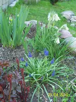 100_2414.webp