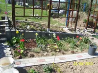 100_2418.webp