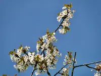 DSC05562.webp