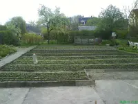 DSC01893.webp