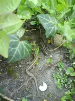 DSC01897.webp