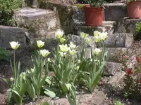 26.04.2010 006.webp