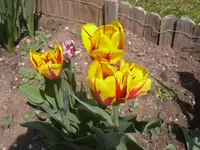 26.04.2010 020.webp