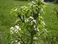26.04.2010 025.webp
