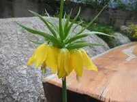 008.webp