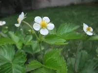 014.webp