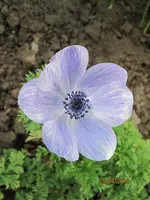 Bild 106.webp