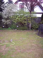 100_1293.webp