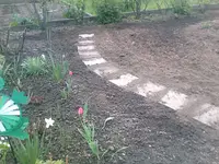 neuer Weg2 - 26.04.2010.webp