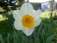 S7309167.webp