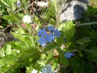 S7309174.webp