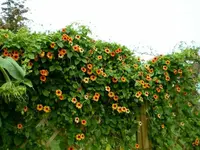 Susanne im Sept 2008.webp