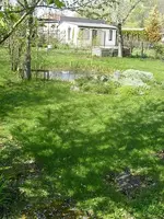 S7309185.webp