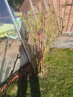 IMG_20260228_145538.webp
