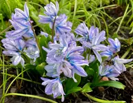 IMG_4537.webp