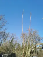 IMG_20260227_163313.webp