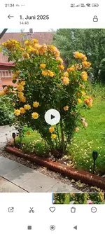 Screenshot_2026-02-28-21-34-33-973_com.miui.gallery.webp