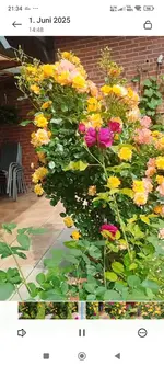 Screenshot_2026-02-28-21-34-48-697_com.miui.videoplayer.webp
