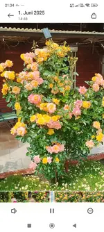 Screenshot_2026-02-28-21-34-55-375_com.miui.videoplayer.webp