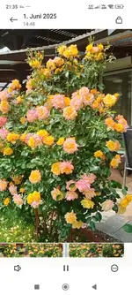 Screenshot_2026-02-28-21-35-01-818_com.miui.videoplayer.webp