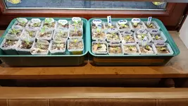 20260301_085713.webp 20260301_085713.webp