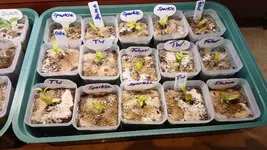 20260301_085725.webp 20260301_085725.webp