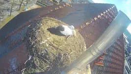 1772453833577.webp 1772453833577.webp