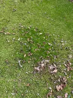 IMG_1387.webp