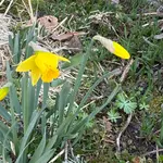 IMG_7635.webp