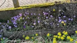 IMG_7593.webp