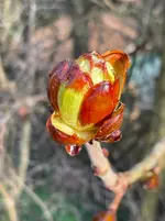 IMG_4896.webp IMG_4896.webp