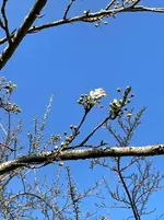 IMG_4900.webp IMG_4900.webp