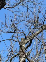 IMG_4902.webp IMG_4902.webp