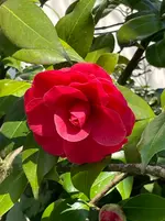 IMG_4903.webp IMG_4903.webp