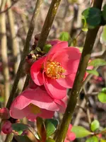 IMG_4905.webp IMG_4905.webp