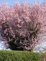 IMG_20260308_115057.webp