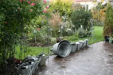 Zinkgalerie 0120.webp