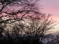 015.webp