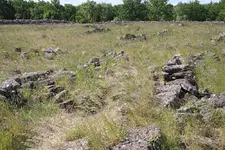 S-Oland35.webp