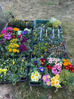 IMG_7675.webp