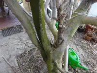 DSC04096.webp