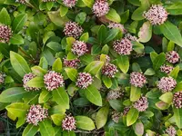 IMG_20260312_161118.webp