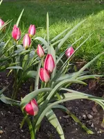 IMG_20260312_160952.webp