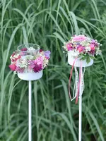 IMG_6209.webp