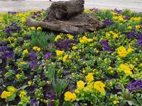 IMG_20260306_114457.webp