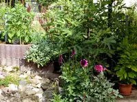 018.webp 018.webp