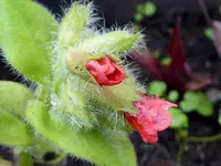 14.webp