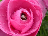 15.webp