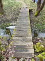 IMG_0980.webp