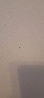 20260311_173649.webp